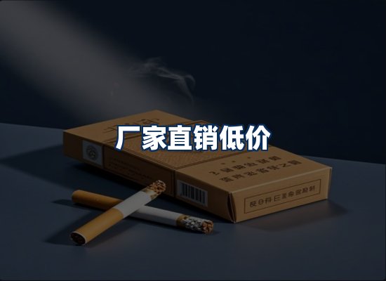 专业团队办公环境